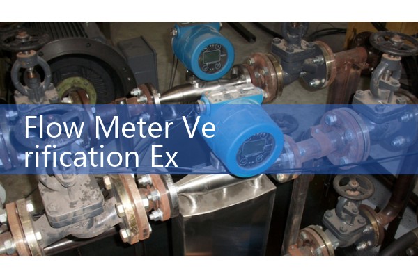 Flow meter verification experiment report